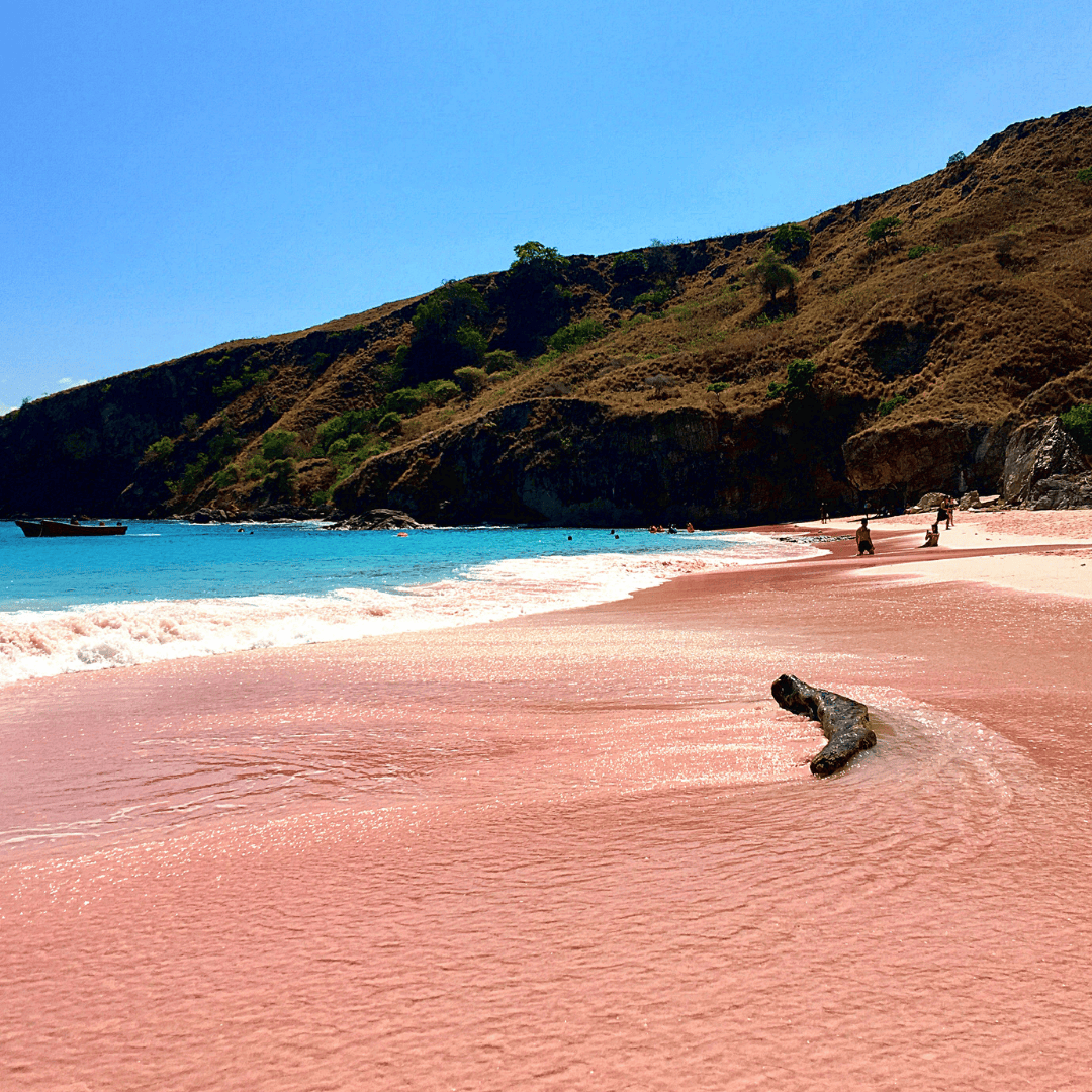 Labuan Bajo  One - Day Tour